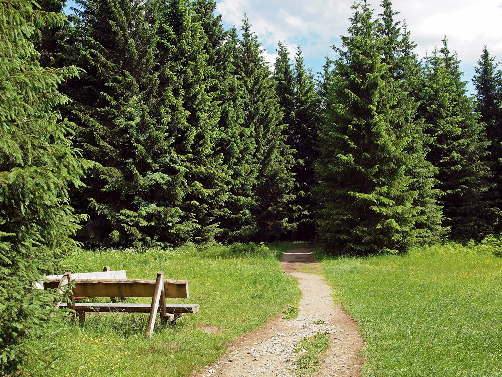 Trautenstein im Harz